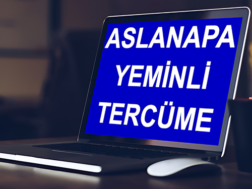 yeminli tercüman aslanapa