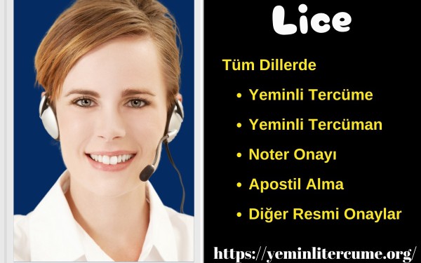 Yeminli Tercüman Lice